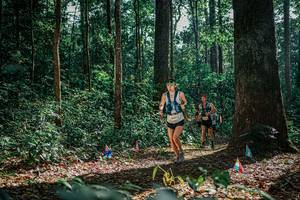 BIB: 
                            <button type="button" onclick="openModal(26080468)" class="btn btn-primary btn-sm float-right btn-popup" data-toggle="modal" data-target=".modal-high-quality">
                        <i class="fas fa-shopping-cart"></i> Add to Cart
                    </button>
                                            <button type="button" onclick="isThisMe(26080468, true)" class="btn btn-success btn-sm float-right btn-popup btn-isme hidden" data-toggle="tooltip" data-placement="bottom" title="นี่คือรูปของคุณใช่ไหม คลิกที่นี่เพื่อเอาเข้าอัลบั้ม">
                        <i class="fas fa-plus"></i> Add to album
                    </button>
                    <button type="button" onclick="isThisMe(26080468, false)" class="btn btn-warning btn-sm float-right btn-popup btn-isnotme hidden">
                        <i class="fas fa-ban"></i> Remove from album
                    </button>